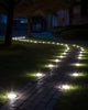Solace™ | LED Path Lights (2024 Model)
